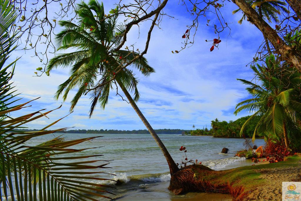 Bocas Reef Hotel Bocas Town Luaran gambar